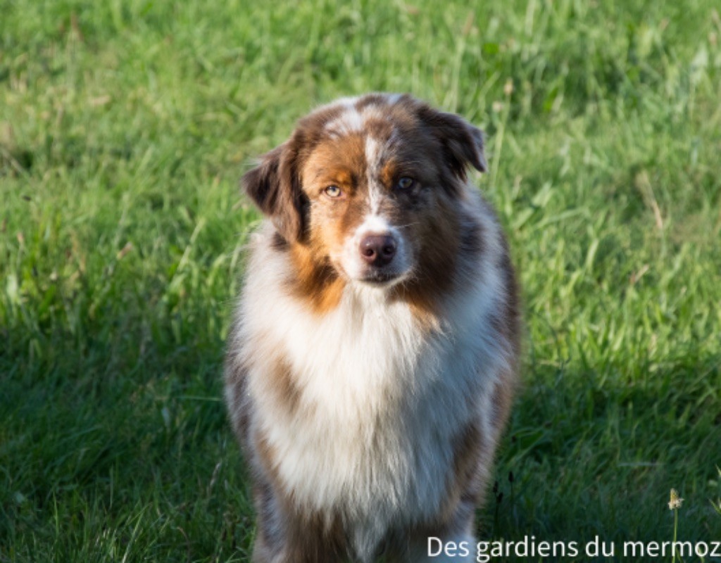 T es née dans une dacia Des Gardiens Du Mermoz