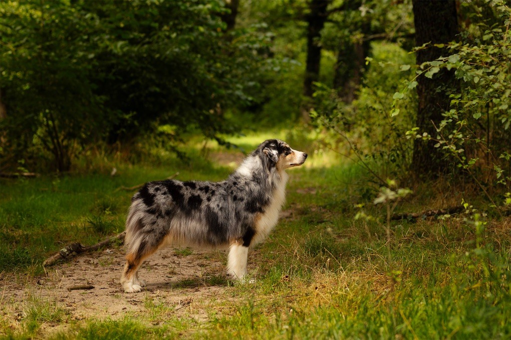 New helga Des Gardiens Du Mermoz